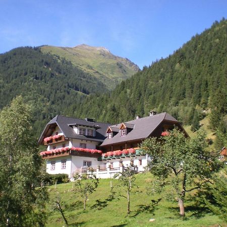 הוילה Sankt Nikolai im Sölktal Biobauernhof Spieszschweiger מראה חיצוני תמונה