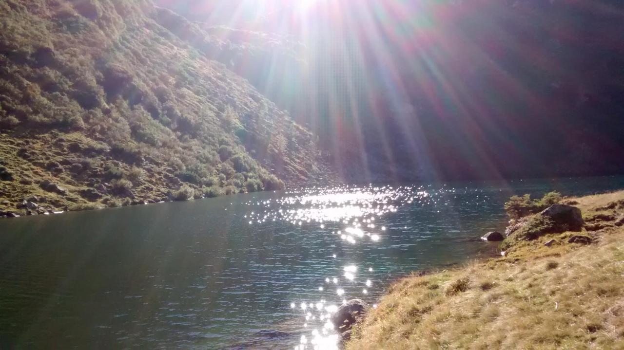 הוילה Sankt Nikolai im Sölktal Biobauernhof Spieszschweiger מראה חיצוני תמונה